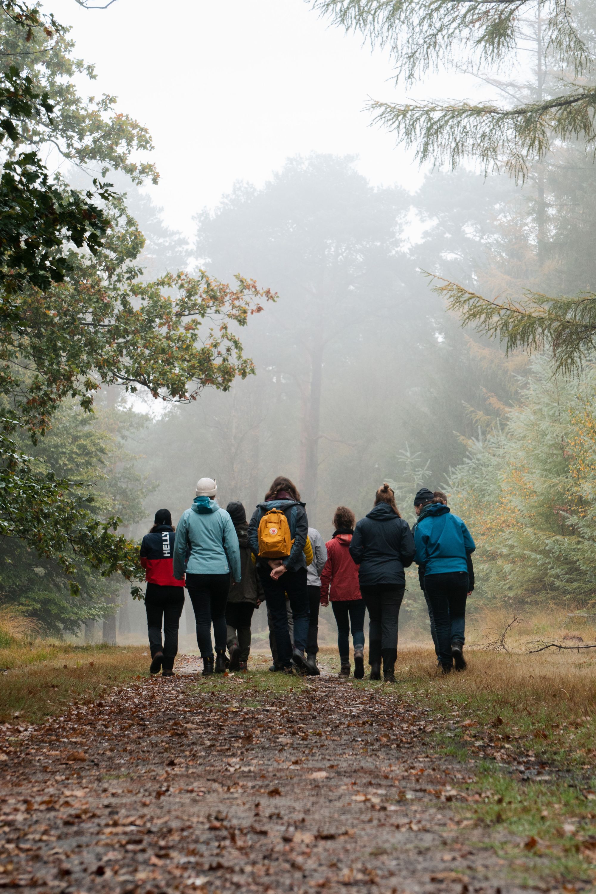 international exchange week