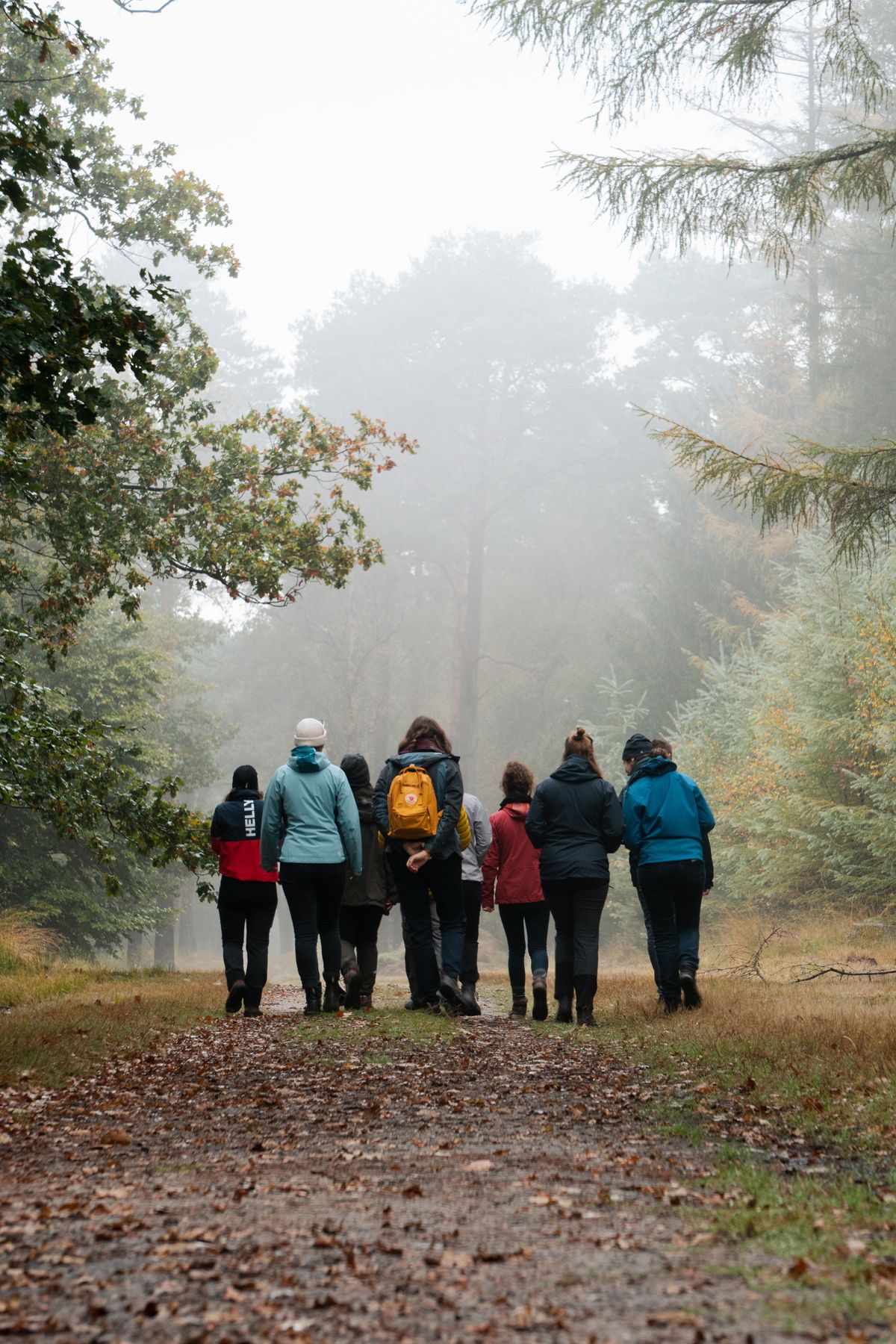 international exchange week