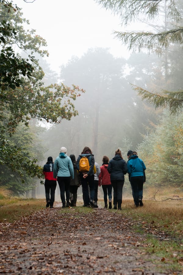 international exchange week